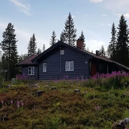 Fagerasen - In/out * Trysil